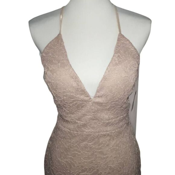 WINDSOR NATURAL/BLUSH LACE DRESS SZ.L NWT. - Picture 6 of 12
